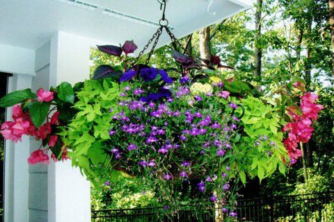Hanging Flowers Design — Lakewood, NJ — Howard Payne Landscaping & Design Inc.