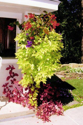 Colorful Plants Landscape — Lakewood, NJ — Howard Payne Landscaping & Design Inc.