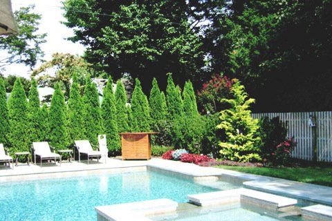 Swimming Pool with Landscaping Background — Lakewood, NJ — Howard Payne Landscaping & Design Inc.