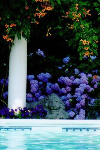 Flowers By the Pool — Lakewood, NJ — Howard Payne Landscaping & Design Inc.