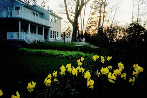 Yellow Flower Landscaping — Lakewood, NJ — Howard Payne Landscaping & Design Inc.