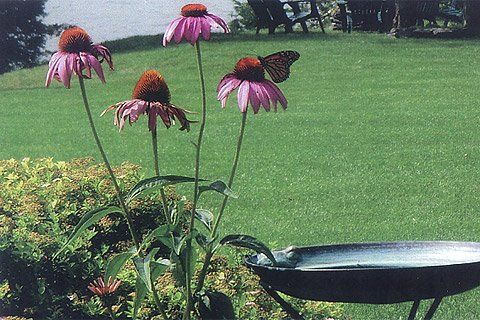 Beautiful Flower Landscape — Lakewood, NJ — Howard Payne Landscaping & Design Inc.