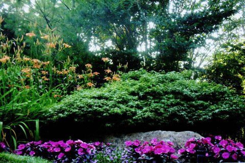 Pink Flower Garden Landscaping — Lakewood, NJ — Howard Payne Landscaping & Design Inc.