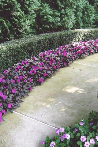 Sidewalk Landscaping — Lakewood, NJ — Howard Payne Landscaping & Design Inc.