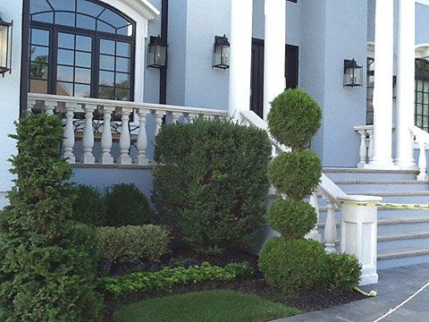 Plant Designing — Lakewood, NJ — Howard Payne Landscaping & Design Inc.