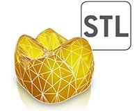 A 3d model of a tooth with a stl logo next to it.
