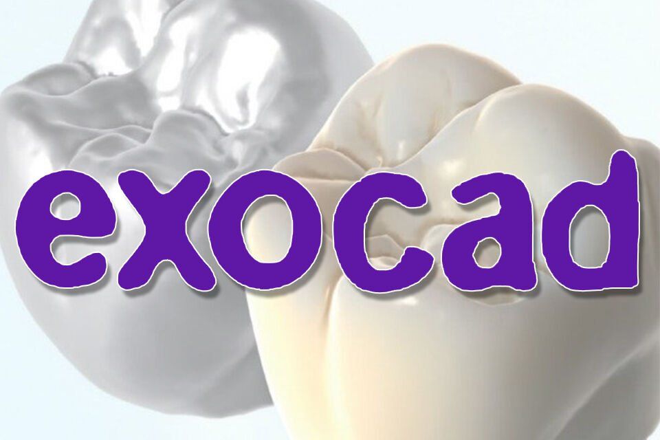 A picture of a tooth with the word exocad on it