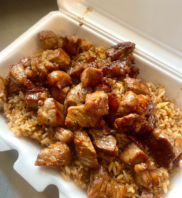 A styrofoam container filled with rice and meat.