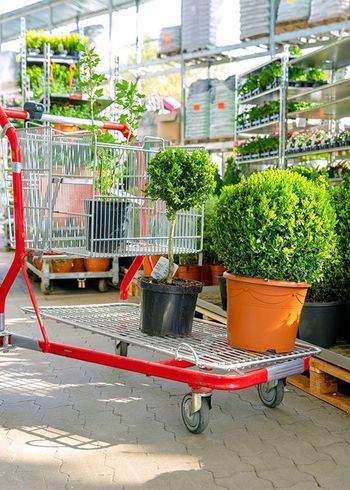 Shopping Cart with Plants — Jacksonville, FL — Southern Tree Farm