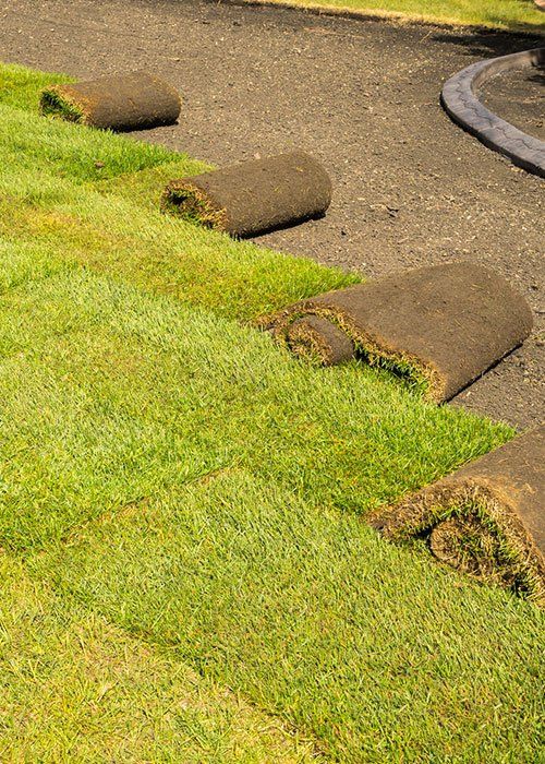Installation of Sod on Private Property Front Yard — Jacksonville, FL — Southern Tree Farm Installation of Sod on Private Property Front Yard — Jacksonville, FL — Southern Tree Farm