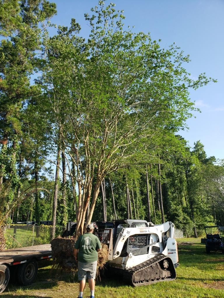 Sunny Garden With a Set of Garden Furniture — Jacksonville, FL — Southern Tree Farm