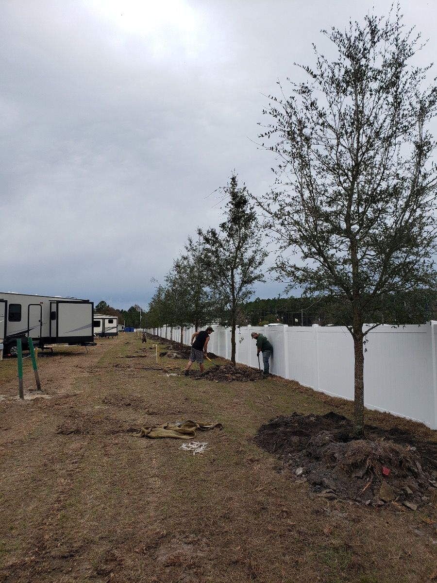 Tree Farm | Jacksonville, FL | Southern Tree Farm
