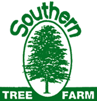 Southern Tree Farm