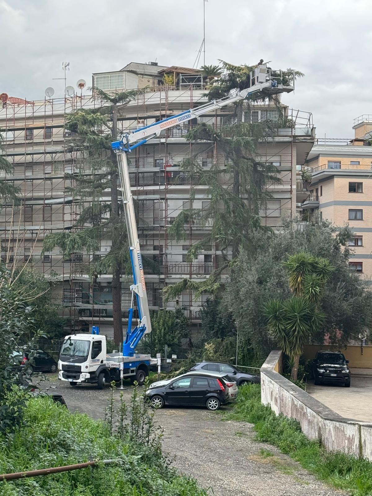 lavori di giardinaggio in quota