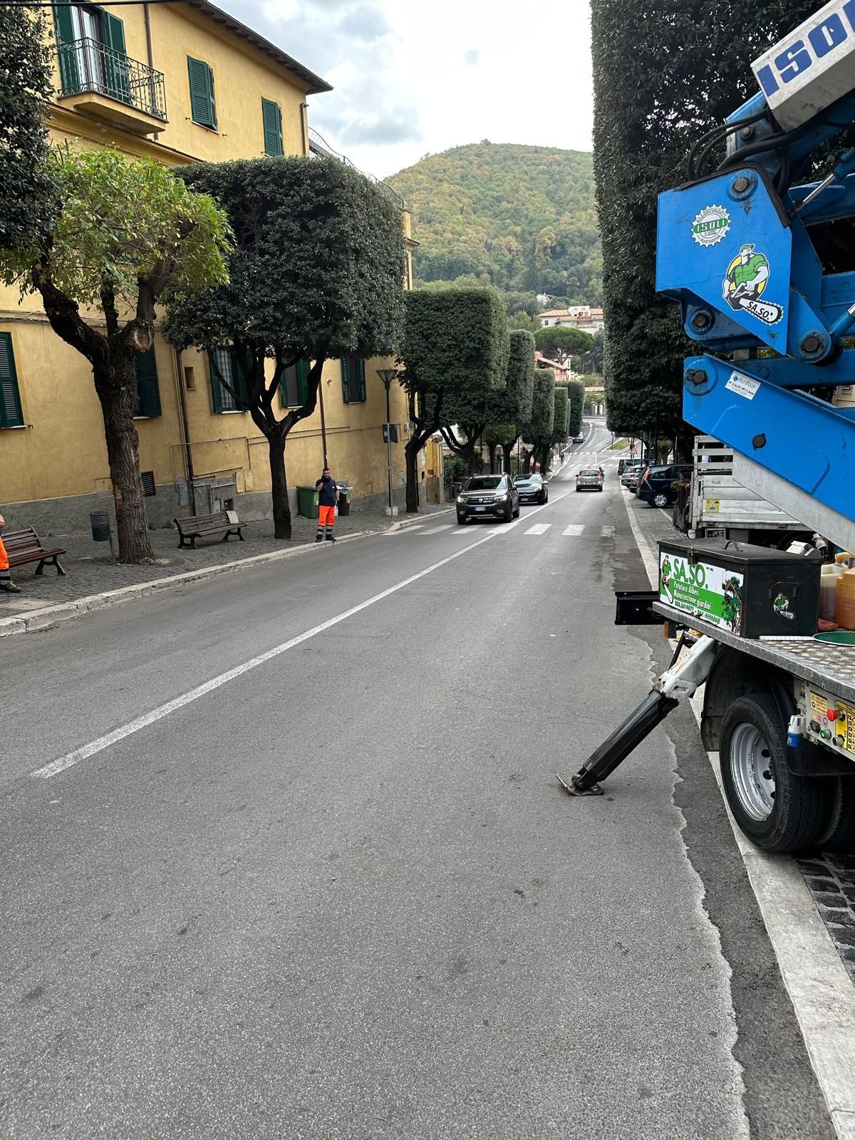 potatura in viale pubblico