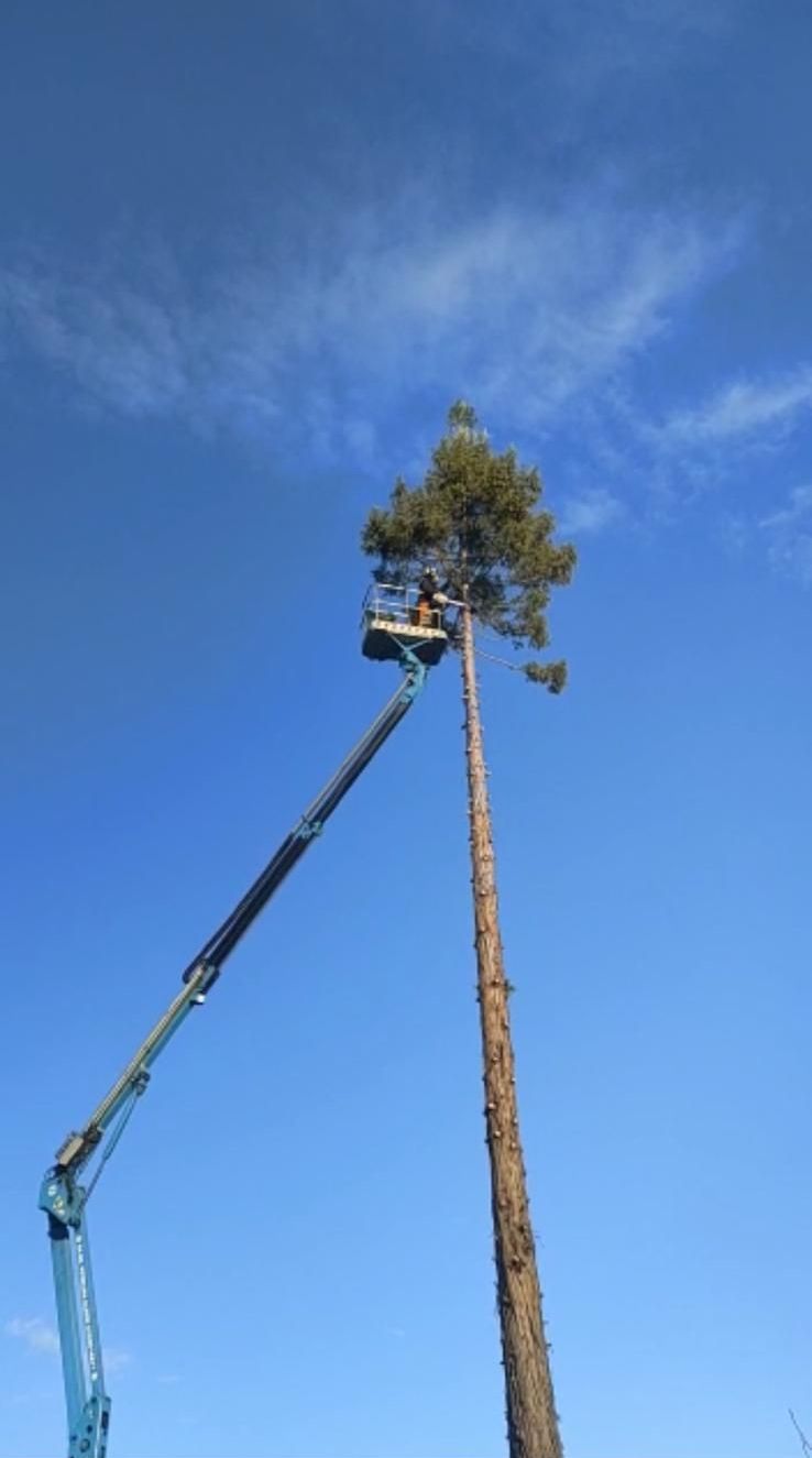 gru con cestello per la potatura