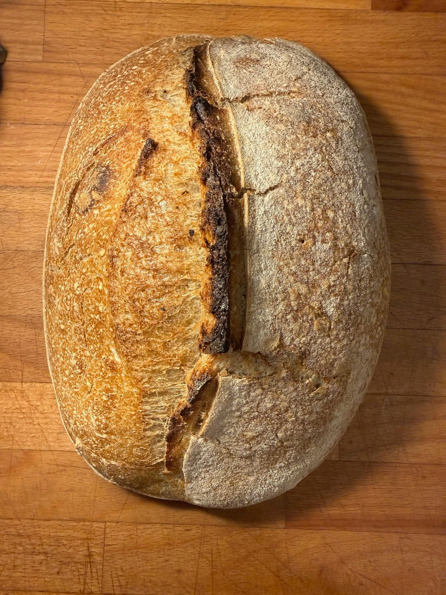 Surdejsbrød på økologisk speltmel