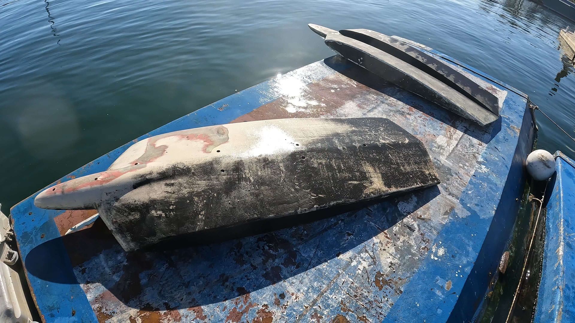 A dolphin is laying on top of a blue boat in the water.