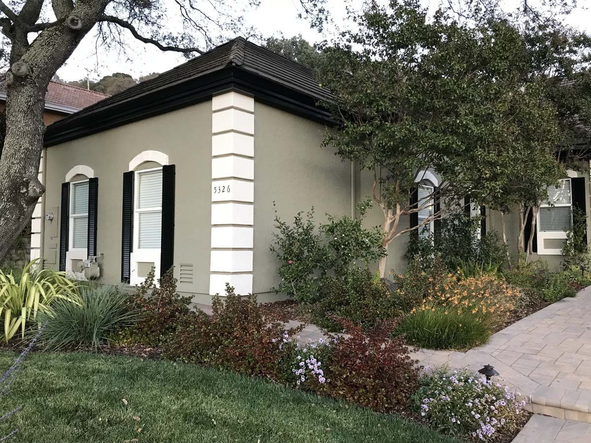 A house with a lot of windows and a tree in front of it
