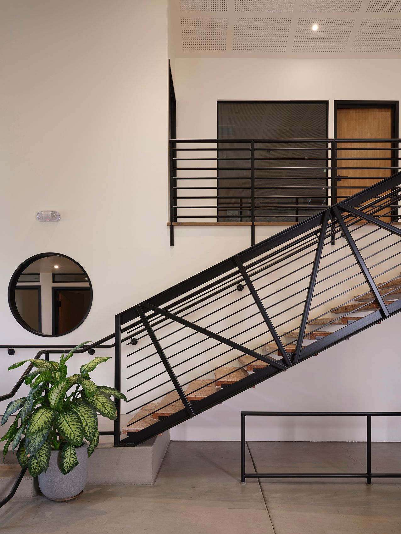 A staircase with a black railing and a plant in front of it