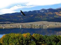 mountain lake with eagle