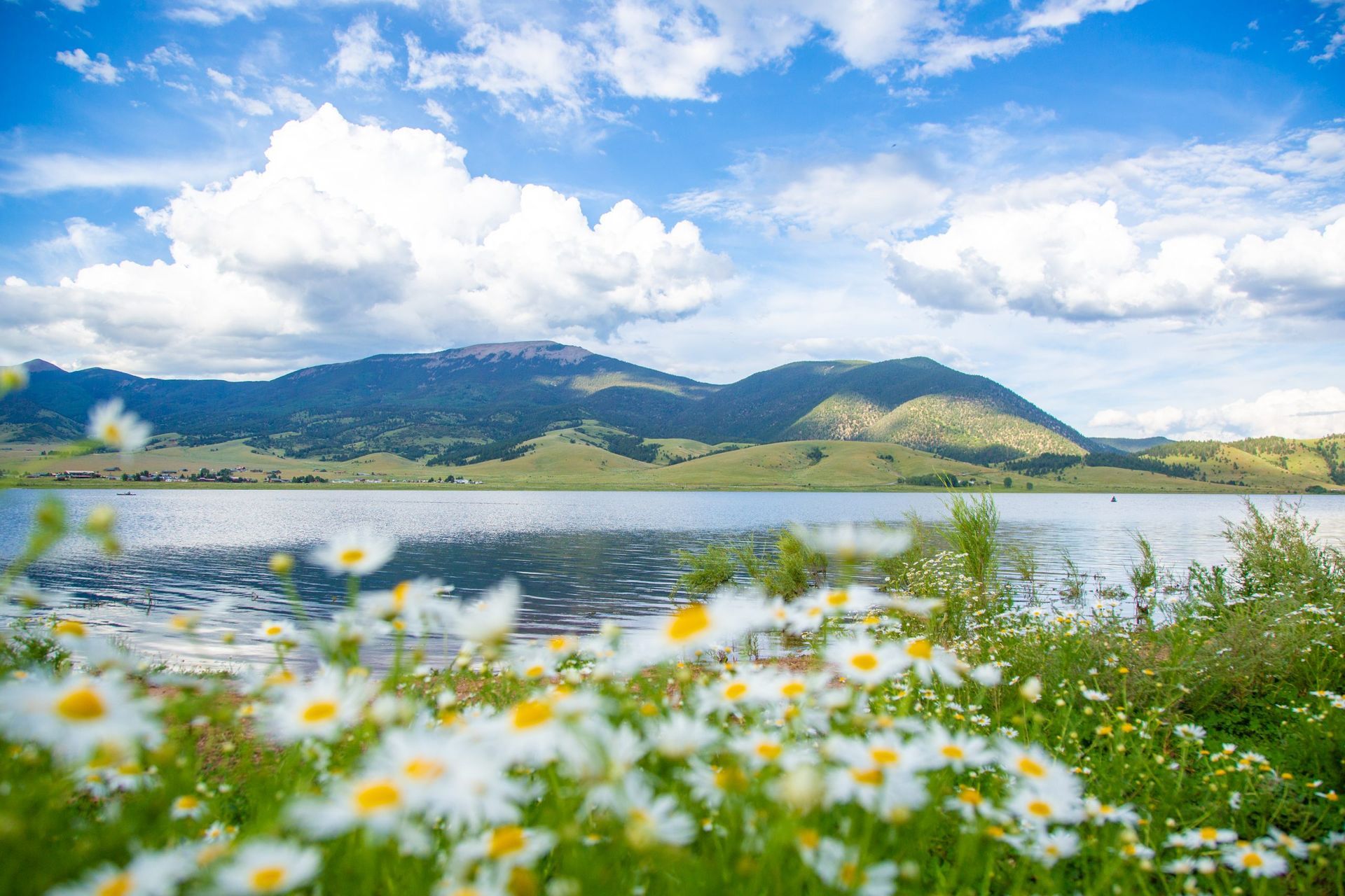 mountain lake with flowers