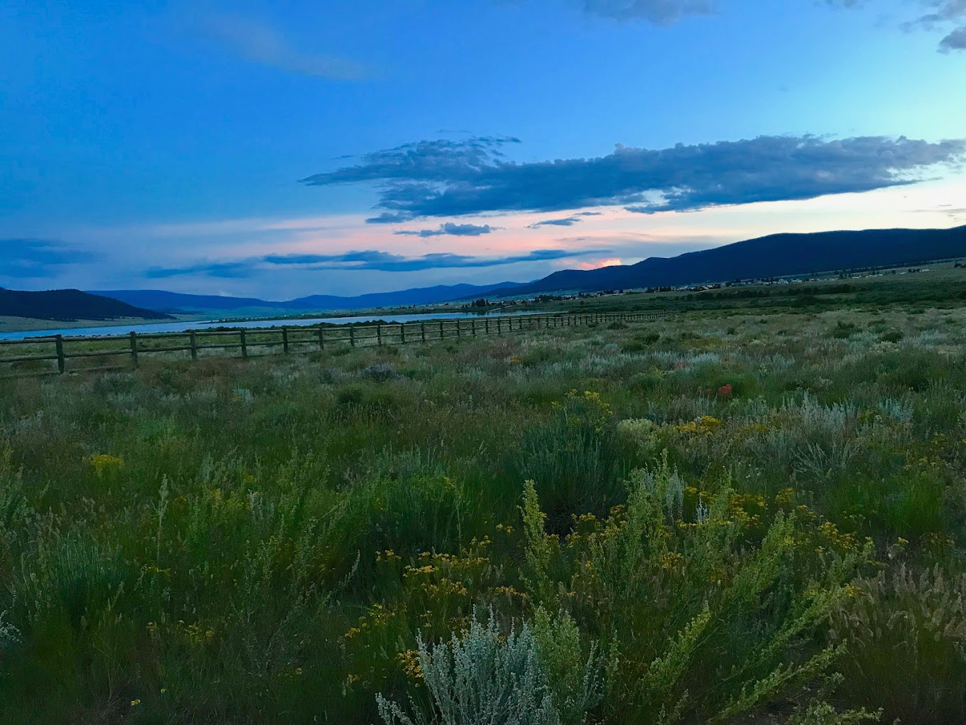 Landscape