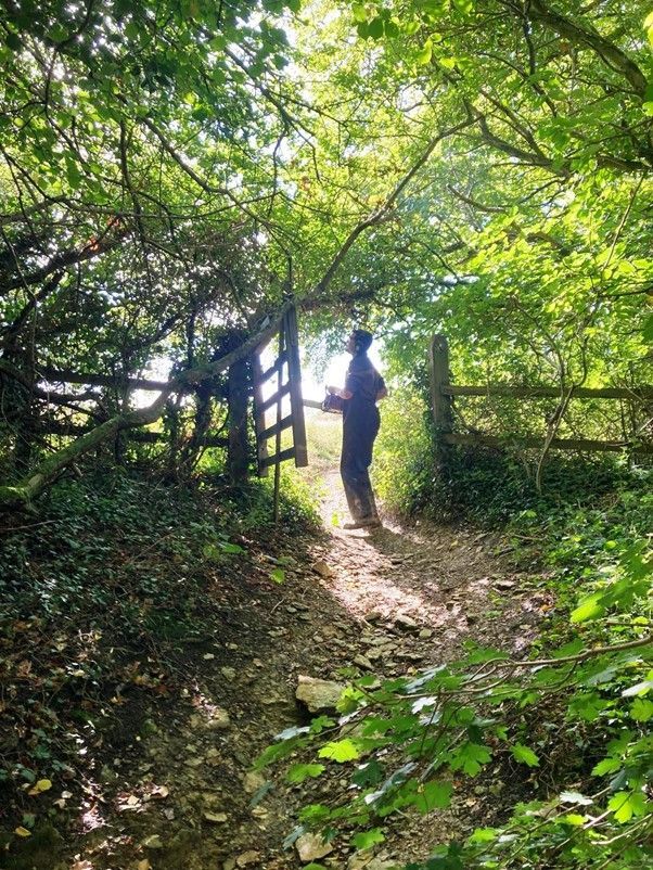 Rob Phibben Contractor - clearing Watery Lane in Norton St Philip