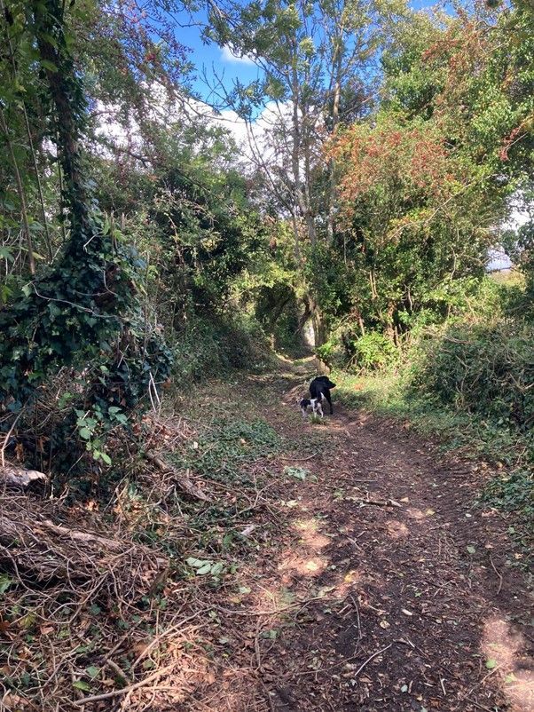Watery Lane in Norton St Philip