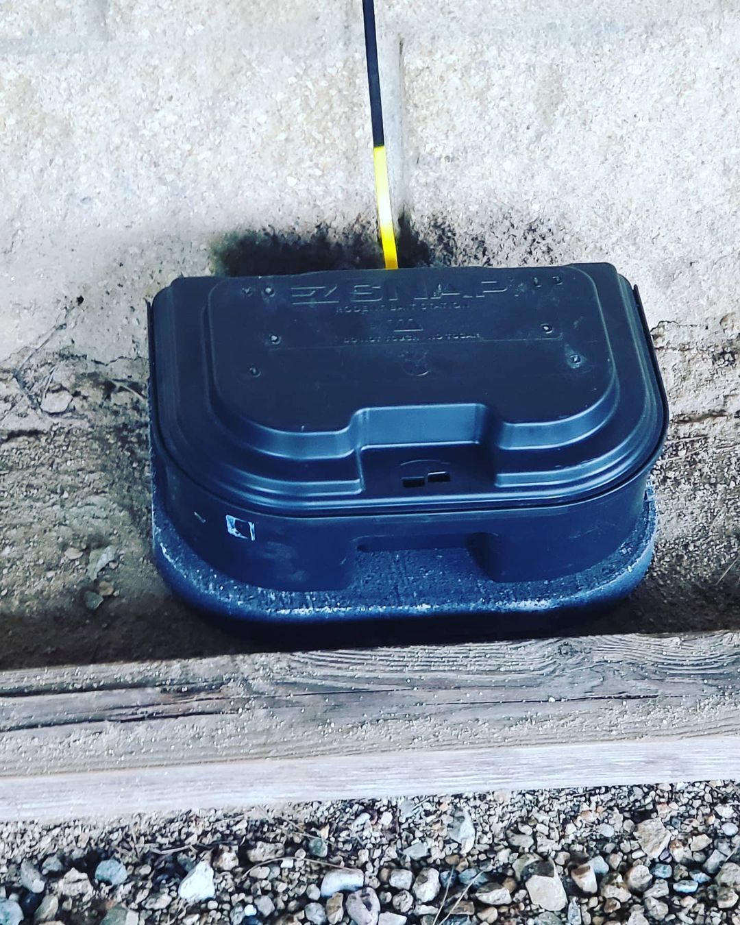 Shield Pest Management, Pest control service, Pest Control Near Me, Pest Control Company, Pest Control Company Near Me, Local Pest Control, Best Pest Control Service, Pet Safe Pest Services, Kid Safe Pest Services, Emergency Pest Control, Emergency Pest Control Near Me, Integrated Pest Management, Home Pest Control Service, General Pest Inspection, Residential Pest Control, Commercial Pest Control, Hotel Pest Control, Restaurant Pest Control, Office Pest Control, Ant Extermination, Ant Pest Control, Bed Bug Extermination, Bed Bug Pest Control, Bee Extermination, Bee Pest Control, Carpet Beetle Extermination, Carpet Beetle Pest Control, Cockroach Extermination, Cockroach Pest Control, Cricket Extermination, Cricket Pest Control, Flea & Mite Extermination, Flea & Mite Pest Control, Hornet & Wasp Extermination, Hornet & wasp Pest Control, Mosquito Extermination, Mosquito Pest Control, Rodent Extermination, Rodent Pest Control, Rat Extermination, Rat pest Control, Silverfish Extermination, Silverfish Pest Control, Spider Extermination, Spider Pest Control