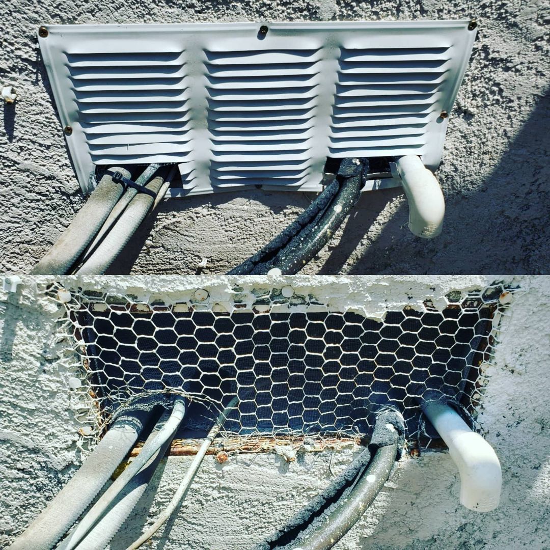 Shield Pest Management, Pest control service, Pest Control Near Me, Pest Control Company, Pest Control Company Near Me, Local Pest Control, Best Pest Control Service, Pet Safe Pest Services, Kid Safe Pest Services, Emergency Pest Control, Emergency Pest Control Near Me, Integrated Pest Management, Home Pest Control Service, General Pest Inspection, Residential Pest Control, Commercial Pest Control, Hotel Pest Control, Restaurant Pest Control, Office Pest Control, Ant Extermination, Ant Pest Control, Bed Bug Extermination, Bed Bug Pest Control, Bee Extermination, Bee Pest Control, Carpet Beetle Extermination, Carpet Beetle Pest Control, Cockroach Extermination, Cockroach Pest Control, Cricket Extermination, Cricket Pest Control, Flea & Mite Extermination, Flea & Mite Pest Control, Hornet & Wasp Extermination, Hornet & wasp Pest Control, Mosquito Extermination, Mosquito Pest Control, Rodent Extermination, Rodent Pest Control, Rat Extermination, Rat pest Control, Silverfish Extermination, Silverfish Pest Control, Spider Extermination, Spider Pest Control, Pico Rivera CA, Whittier CA, Montebello CA, Downey CA, Santa Fe Springs CA, Norwalk CA, Monterey Park CA, Commerce CA, Bell Gardens CA, Bellflower CA, Paramount CA, Lakewood CA, Cerritos CA, City of industry CA, El Monte CA, Baldwin Park CA, West Covina CA, Rosemead CA, Monrovia CA, Azusa CA, Alhambra CA