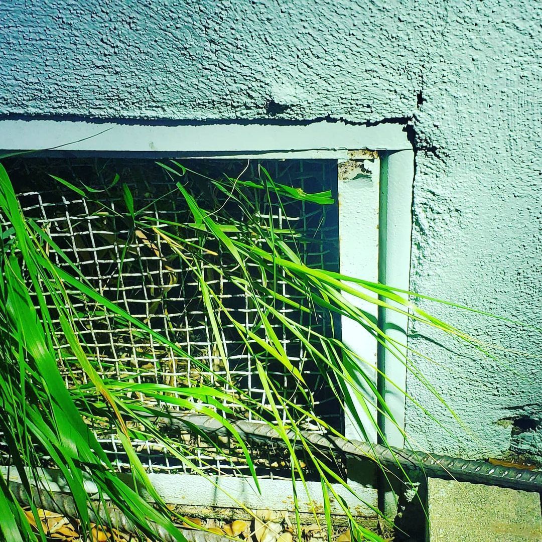 Shield Pest Management, Pest control service, Pest Control Near Me, Pest Control Company, Pest Control Company Near Me, Local Pest Control, Best Pest Control Service, Pet Safe Pest Services, Kid Safe Pest Services, Emergency Pest Control, Emergency Pest Control Near Me, Integrated Pest Management, Home Pest Control Service, General Pest Inspection, Residential Pest Control, Commercial Pest Control, Hotel Pest Control, Restaurant Pest Control, Office Pest Control, Ant Extermination, Ant Pest Control, Bed Bug Extermination, Bed Bug Pest Control, Bee Extermination, Bee Pest Control, Carpet Beetle Extermination, Carpet Beetle Pest Control, Cockroach Extermination, Cockroach Pest Control, Cricket Extermination, Cricket Pest Control, Flea & Mite Extermination, Flea & Mite Pest Control, Hornet & Wasp Extermination, Hornet & wasp Pest Control, Mosquito Extermination, Mosquito Pest Control, Rodent Extermination, Rodent Pest Control, Rat Extermination, Rat pest Control, Silverfish Extermination, Silverfish Pest Control, Spider Extermination, Spider Pest Control