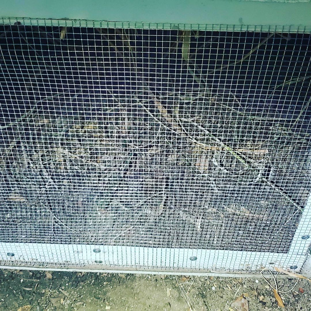 Shield Pest Management, Pest control service, Pest Control Near Me, Pest Control Company, Pest Control Company Near Me, Local Pest Control, Best Pest Control Service, Pet Safe Pest Services, Kid Safe Pest Services, Emergency Pest Control, Emergency Pest Control Near Me, Integrated Pest Management, Home Pest Control Service, General Pest Inspection, Residential Pest Control, Commercial Pest Control, Hotel Pest Control, Restaurant Pest Control, Office Pest Control, Ant Extermination, Ant Pest Control, Bed Bug Extermination, Bed Bug Pest Control, Bee Extermination, Bee Pest Control, Carpet Beetle Extermination, Carpet Beetle Pest Control, Cockroach Extermination, Cockroach Pest Control, Cricket Extermination, Cricket Pest Control, Flea & Mite Extermination, Flea & Mite Pest Control, Hornet & Wasp Extermination, Hornet & wasp Pest Control, Mosquito Extermination, Mosquito Pest Control, Rodent Extermination, Rodent Pest Control, Rat Extermination, Rat pest Control, Silverfish Extermination, Silverfish Pest Control, Spider Extermination, Spider Pest Control