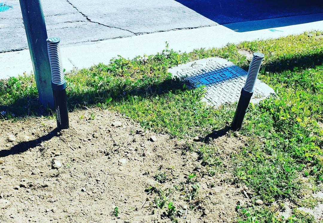 Shield Pest Management, Pest control service, Pest Control Near Me, Pest Control Company, Pest Control Company Near Me, Local Pest Control, Best Pest Control Service, Pet Safe Pest Services, Kid Safe Pest Services, Emergency Pest Control, Emergency Pest Control Near Me, Integrated Pest Management, Home Pest Control Service, General Pest Inspection, Residential Pest Control, Commercial Pest Control, Hotel Pest Control, Restaurant Pest Control, Office Pest Control, Ant Extermination, Ant Pest Control, Bed Bug Extermination, Bed Bug Pest Control, Bee Extermination, Bee Pest Control, Carpet Beetle Extermination, Carpet Beetle Pest Control, Cockroach Extermination, Cockroach Pest Control, Cricket Extermination, Cricket Pest Control, Flea & Mite Extermination, Flea & Mite Pest Control, Hornet & Wasp Extermination, Hornet & wasp Pest Control, Mosquito Extermination, Mosquito Pest Control, Rodent Extermination, Rodent Pest Control, Rat Extermination, Rat pest Control, Silverfish Extermination, Silverfish Pest Control, Spider Extermination, Spider Pest Control, Pico Rivera CA, Whittier CA, Montebello CA, Downey CA, Santa Fe Springs CA, Norwalk CA, Monterey Park CA, Commerce CA, Bell Gardens CA, Bellflower CA, Paramount CA, Lakewood CA, Cerritos CA, City of industry CA, El Monte CA, Baldwin Park CA, West Covina CA, Rosemead CA, Monrovia CA, Azusa CA, Alhambra CA