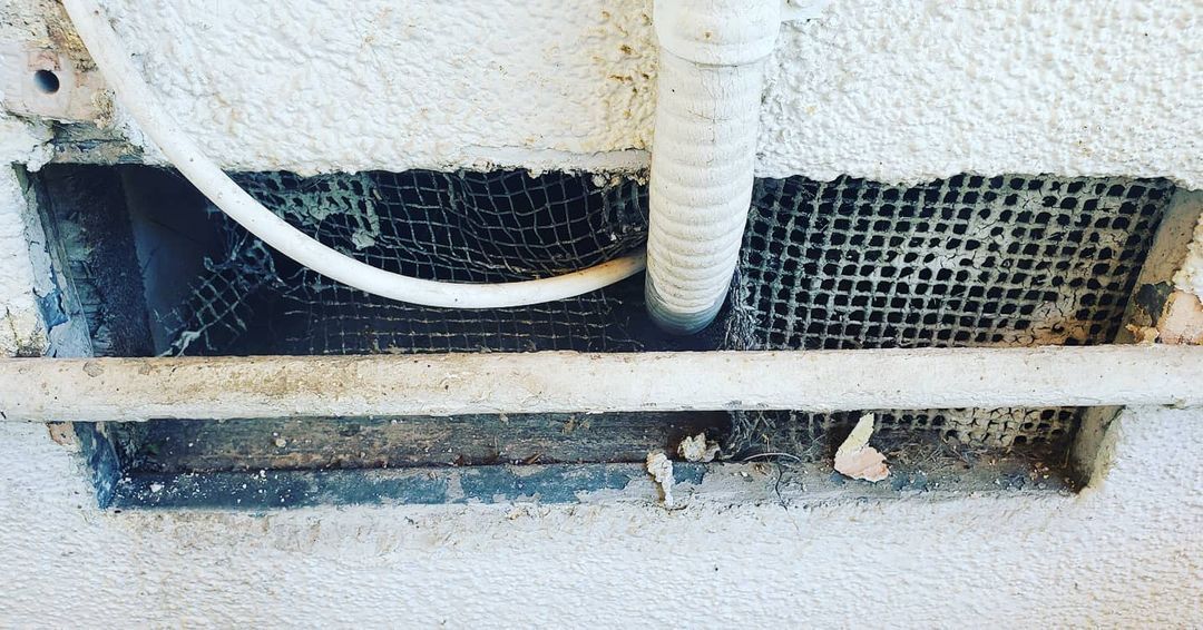 Shield Pest Management, Pest control service, Pest Control Near Me, Pest Control Company, Pest Control Company Near Me, Local Pest Control, Best Pest Control Service, Pet Safe Pest Services, Kid Safe Pest Services, Emergency Pest Control, Emergency Pest Control Near Me, Integrated Pest Management, Home Pest Control Service, General Pest Inspection, Residential Pest Control, Commercial Pest Control, Hotel Pest Control, Restaurant Pest Control, Office Pest Control, Ant Extermination, Ant Pest Control, Bed Bug Extermination, Bed Bug Pest Control, Bee Extermination, Bee Pest Control, Carpet Beetle Extermination, Carpet Beetle Pest Control, Cockroach Extermination, Cockroach Pest Control, Cricket Extermination, Cricket Pest Control, Flea & Mite Extermination, Flea & Mite Pest Control, Hornet & Wasp Extermination, Hornet & wasp Pest Control, Mosquito Extermination, Mosquito Pest Control, Rodent Extermination, Rodent Pest Control, Rat Extermination, Rat pest Control, Silverfish Extermination, Silverfish Pest Control, Spider Extermination, Spider Pest Control