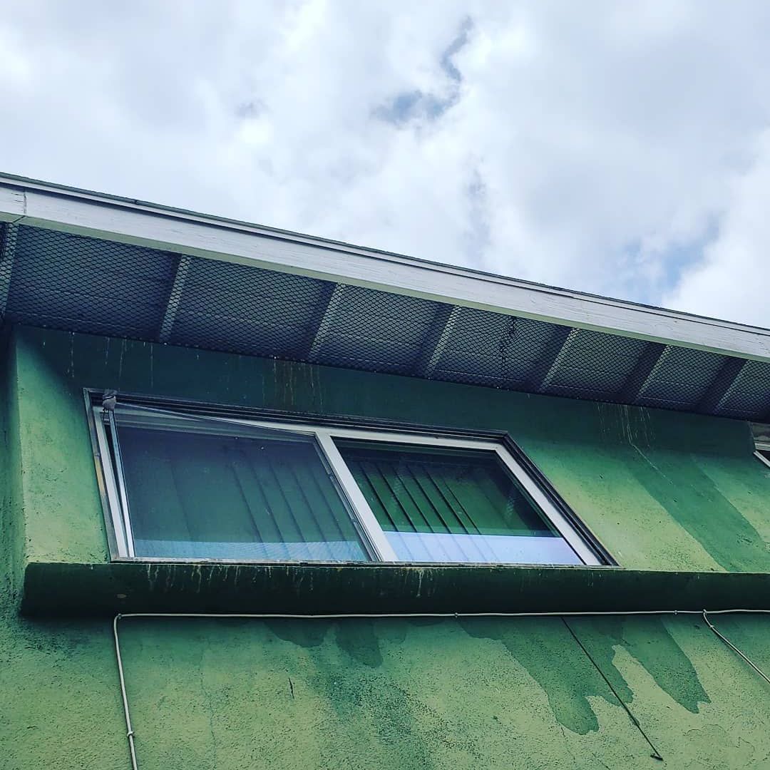 Shield Pest Management, Pest control service, Pest Control Near Me, Pest Control Company, Pest Control Company Near Me, Local Pest Control, Best Pest Control Service, Pet Safe Pest Services, Kid Safe Pest Services, Emergency Pest Control, Emergency Pest Control Near Me, Integrated Pest Management, Home Pest Control Service, General Pest Inspection, Residential Pest Control, Commercial Pest Control, Hotel Pest Control, Restaurant Pest Control, Office Pest Control, Ant Extermination, Ant Pest Control, Bed Bug Extermination, Bed Bug Pest Control, Bee Extermination, Bee Pest Control, Carpet Beetle Extermination, Carpet Beetle Pest Control, Cockroach Extermination, Cockroach Pest Control, Cricket Extermination, Cricket Pest Control, Flea & Mite Extermination, Flea & Mite Pest Control, Hornet & Wasp Extermination, Hornet & wasp Pest Control, Mosquito Extermination, Mosquito Pest Control, Rodent Extermination, Rodent Pest Control, Rat Extermination, Rat pest Control, Silverfish Extermination, Silverfish Pest Control, Spider Extermination, Spider Pest Control