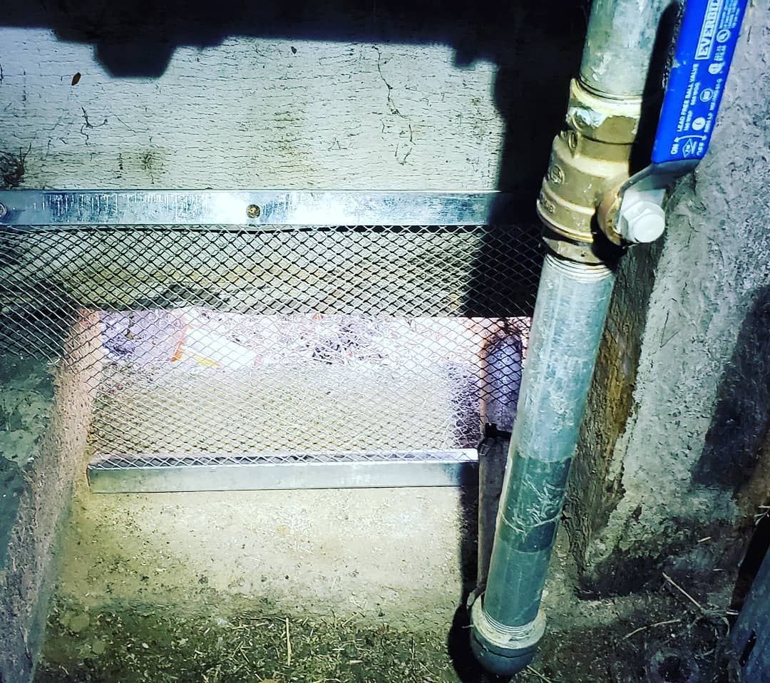 Shield Pest Management, Pest control service, Pest Control Near Me, Pest Control Company, Pest Control Company Near Me, Local Pest Control, Best Pest Control Service, Pet Safe Pest Services, Kid Safe Pest Services, Emergency Pest Control, Emergency Pest Control Near Me, Integrated Pest Management, Home Pest Control Service, General Pest Inspection, Residential Pest Control, Commercial Pest Control, Hotel Pest Control, Restaurant Pest Control, Office Pest Control, Ant Extermination, Ant Pest Control, Bed Bug Extermination, Bed Bug Pest Control, Bee Extermination, Bee Pest Control, Carpet Beetle Extermination, Carpet Beetle Pest Control, Cockroach Extermination, Cockroach Pest Control, Cricket Extermination, Cricket Pest Control, Flea & Mite Extermination, Flea & Mite Pest Control, Hornet & Wasp Extermination, Hornet & wasp Pest Control, Mosquito Extermination, Mosquito Pest Control, Rodent Extermination, Rodent Pest Control, Rat Extermination, Rat pest Control, Silverfish Extermination, Silverfish Pest Control, Spider Extermination, Spider Pest Control