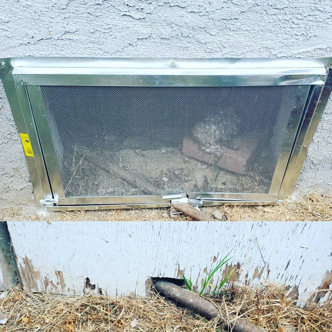 Shield Pest Management, Pest control service, Pest Control Near Me, Pest Control Company, Pest Control Company Near Me, Local Pest Control, Best Pest Control Service, Pet Safe Pest Services, Kid Safe Pest Services, Emergency Pest Control, Emergency Pest Control Near Me, Integrated Pest Management, Home Pest Control Service, General Pest Inspection, Residential Pest Control, Commercial Pest Control, Hotel Pest Control, Restaurant Pest Control, Office Pest Control, Ant Extermination, Ant Pest Control, Bed Bug Extermination, Bed Bug Pest Control, Bee Extermination, Bee Pest Control, Carpet Beetle Extermination, Carpet Beetle Pest Control, Cockroach Extermination, Cockroach Pest Control, Cricket Extermination, Cricket Pest Control, Flea & Mite Extermination, Flea & Mite Pest Control, Hornet & Wasp Extermination, Hornet & wasp Pest Control, Mosquito Extermination, Mosquito Pest Control, Rodent Extermination, Rodent Pest Control, Rat Extermination, Rat pest Control, Silverfish Extermination, Silverfish Pest Control, Spider Extermination, Spider Pest Control