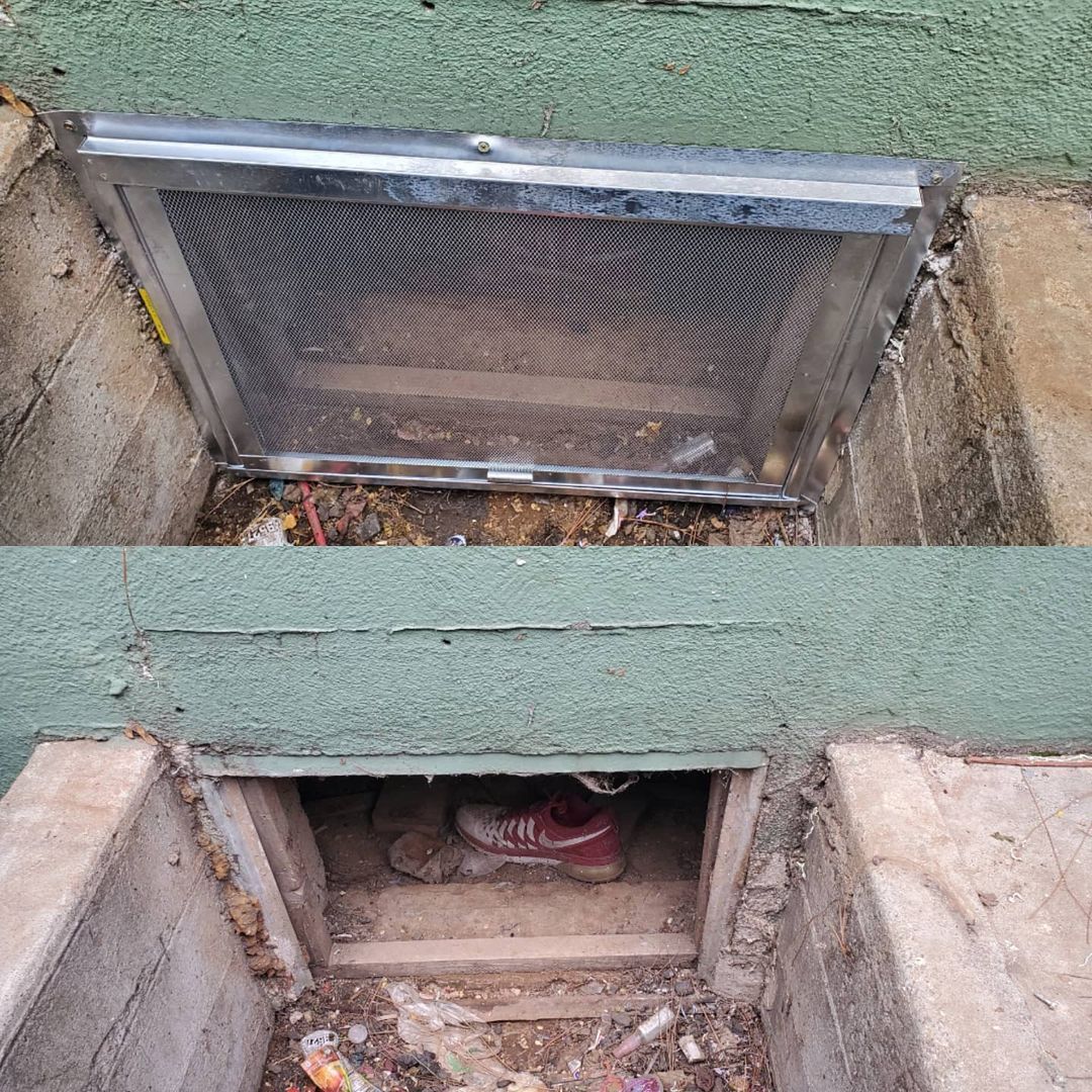 Shield Pest Management, Pest control service, Pest Control Near Me, Pest Control Company, Pest Control Company Near Me, Local Pest Control, Best Pest Control Service, Pet Safe Pest Services, Kid Safe Pest Services, Emergency Pest Control, Emergency Pest Control Near Me, Integrated Pest Management, Home Pest Control Service, General Pest Inspection, Residential Pest Control, Commercial Pest Control, Hotel Pest Control, Restaurant Pest Control, Office Pest Control, Ant Extermination, Ant Pest Control, Bed Bug Extermination, Bed Bug Pest Control, Bee Extermination, Bee Pest Control, Carpet Beetle Extermination, Carpet Beetle Pest Control, Cockroach Extermination, Cockroach Pest Control, Cricket Extermination, Cricket Pest Control, Flea & Mite Extermination, Flea & Mite Pest Control, Hornet & Wasp Extermination, Hornet & wasp Pest Control, Mosquito Extermination, Mosquito Pest Control, Rodent Extermination, Rodent Pest Control, Rat Extermination, Rat pest Control, Silverfish Extermination, Silverfish Pest Control, Spider Extermination, Spider Pest Control