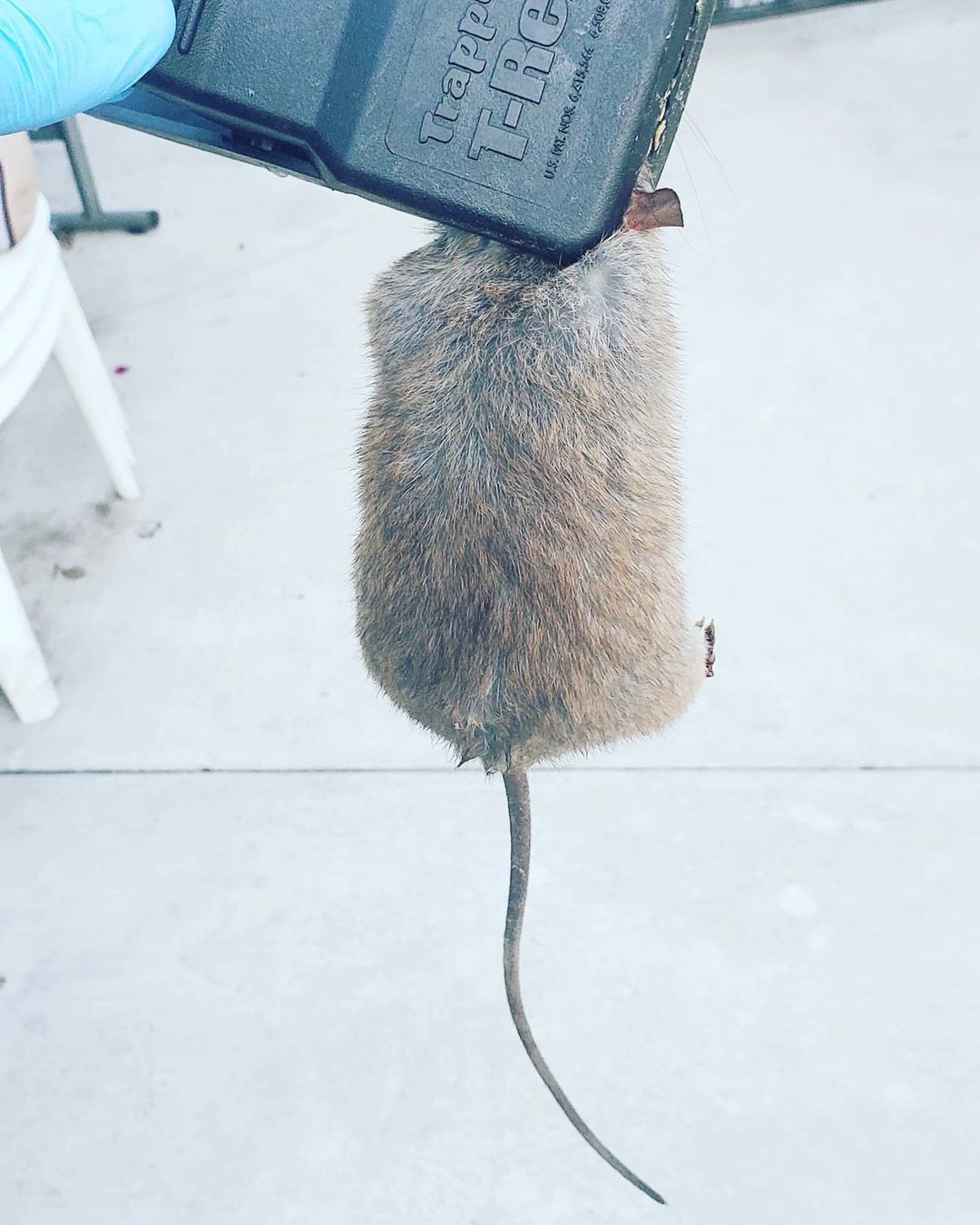 Shield Pest Management, Pest control service, Pest Control Near Me, Pest Control Company, Pest Control Company Near Me, Local Pest Control, Best Pest Control Service, Pet Safe Pest Services, Kid Safe Pest Services, Emergency Pest Control, Emergency Pest Control Near Me, Integrated Pest Management, Home Pest Control Service, General Pest Inspection, Residential Pest Control, Commercial Pest Control, Hotel Pest Control, Restaurant Pest Control, Office Pest Control, Ant Extermination, Ant Pest Control, Bed Bug Extermination, Bed Bug Pest Control, Bee Extermination, Bee Pest Control, Carpet Beetle Extermination, Carpet Beetle Pest Control, Cockroach Extermination, Cockroach Pest Control, Cricket Extermination, Cricket Pest Control, Flea & Mite Extermination, Flea & Mite Pest Control, Hornet & Wasp Extermination, Hornet & wasp Pest Control, Mosquito Extermination, Mosquito Pest Control, Rodent Extermination, Rodent Pest Control, Rat Extermination, Rat pest Control, Silverfish Extermination, Silverfish Pest Control, Spider Extermination, Spider Pest Control