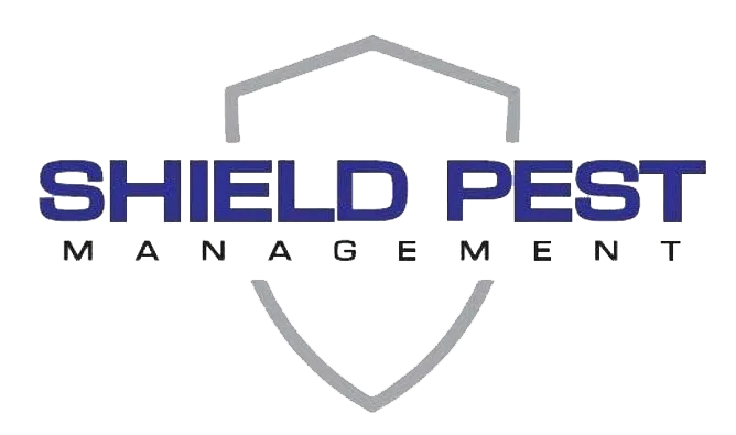 Shield Pest Management, Pest control service, Pest Control Near Me, Pest Control Company, Pest Control Company Near Me, Local Pest Control, Best Pest Control Service, Pet Safe Pest Services, Kid Safe Pest Services, Emergency Pest Control, Emergency Pest Control Near Me, Integrated Pest Management, Home Pest Control Service, General Pest Inspection, Residential Pest Control, Commercial Pest Control, Hotel Pest Control, Restaurant Pest Control, Office Pest Control, Ant Extermination, Ant Pest Control, Bed Bug Extermination, Bed Bug Pest Control, Bee Extermination, Bee Pest Control, Carpet Beetle Extermination, Carpet Beetle Pest Control, Cockroach Extermination, Cockroach Pest Control, Cricket Extermination, Cricket Pest Control, Flea & Mite Extermination, Flea & Mite Pest Control, Hornet & Wasp Extermination, Hornet & wasp Pest Control, Mosquito Extermination, Mosquito Pest Control, Rodent Extermination, Rodent Pest Control, Rat Extermination, Rat pest Control, Silverfish Extermination, Silverfish Pest Control, Spider Extermination, Spider Pest Control, Pico Rivera CA, Whittier CA, Montebello CA, Downey CA, Santa Fe Springs CA, Norwalk CA, Monterey Park CA, Commerce CA, Bell Gardens CA, Bellflower CA, Paramount CA, Lakewood CA, Cerritos CA, City of industry CA, El Monte CA, Baldwin Park CA, West Covina CA, Rosemead CA, Monrovia CA, Azusa CA, Alhambra CA