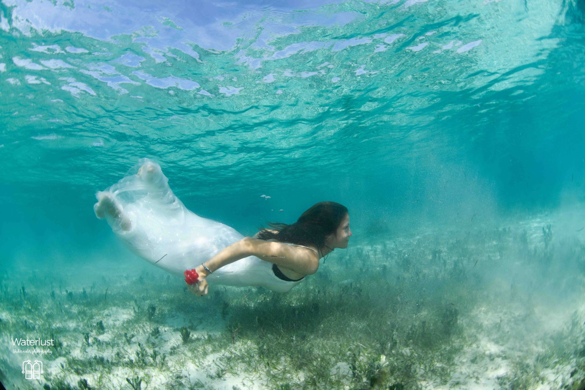 A Fiji bride swims through the crystal clear water amid the rays of the sunshine 