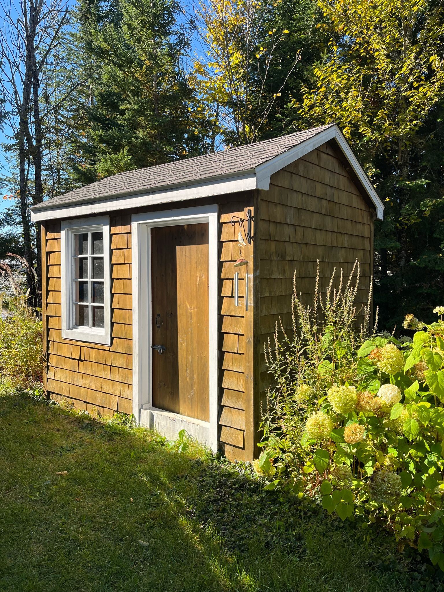 un petit hangar en bois se trouve au milieu d'une cour verdoyante.