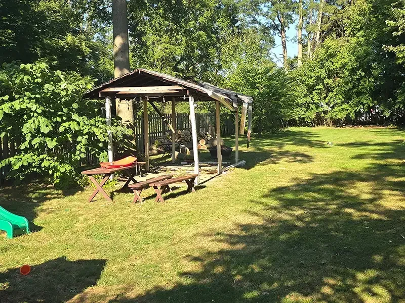 tree hauling - after