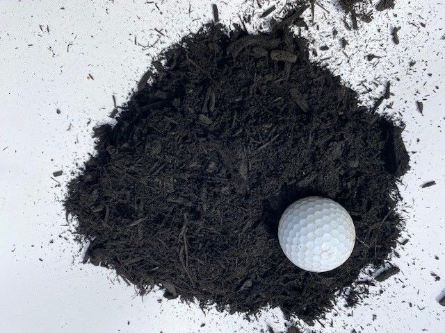 Person Holding A Black Mulch — Westfield, IN — Country Mulch