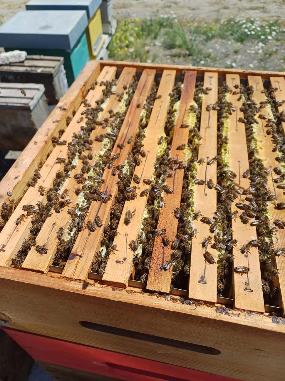 Due uomini presso una bancarella di prodotti alimentari siciliani con prodotti dorati. Testo e logo 