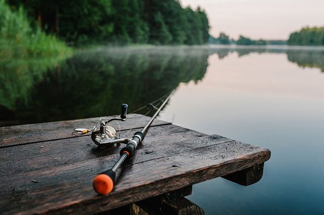 Fishing Rod on a Wooden Plank — Newport News, VA — Wilcox Bait & Tackle