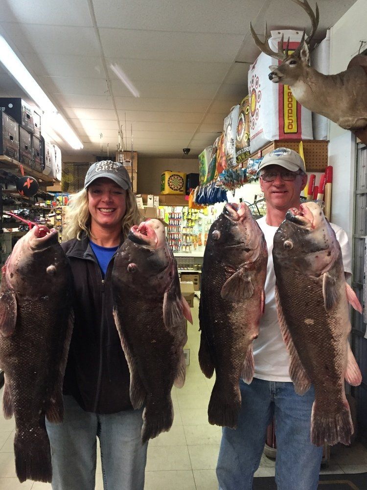 Gallery Newport News, VA Wilcox Bait & Tackle