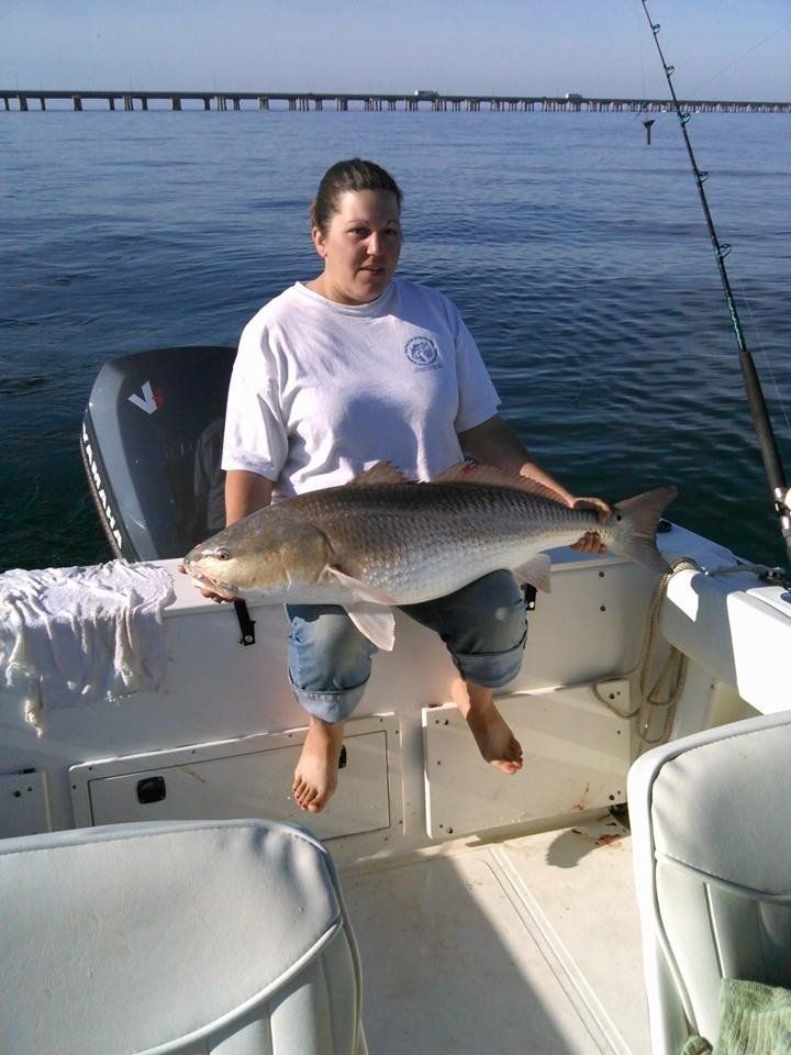 Gallery Newport News, VA Wilcox Bait & Tackle