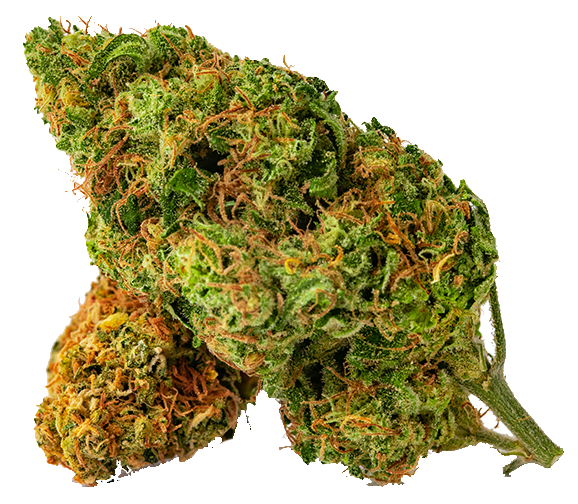 Two cannabis buds, green and orange, with visible trichomes, against a white background.